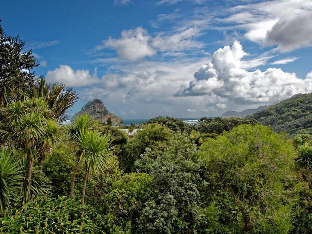 Surfer'S Sunshine Cottage - Piha Holiday Home Extérieur photo